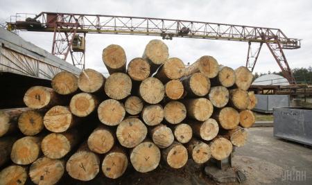 Портал УУБ: вартість деревини у Кривому Розі